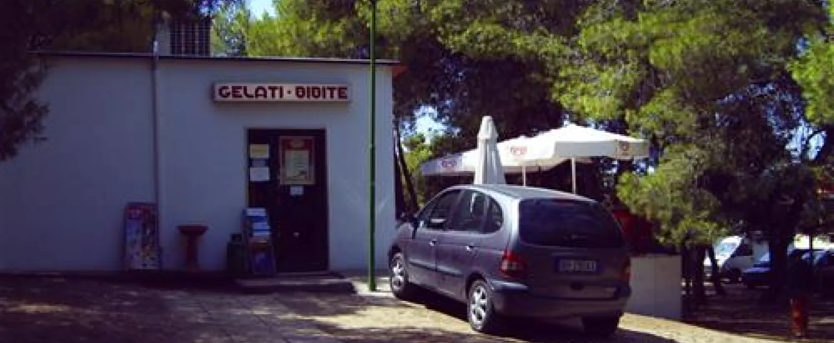 Camppeggio Internazionale