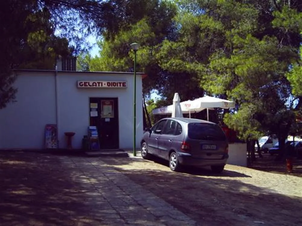 Camppeggio Internazionale