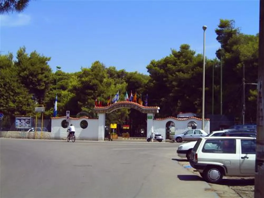 Camppeggio Internazionale