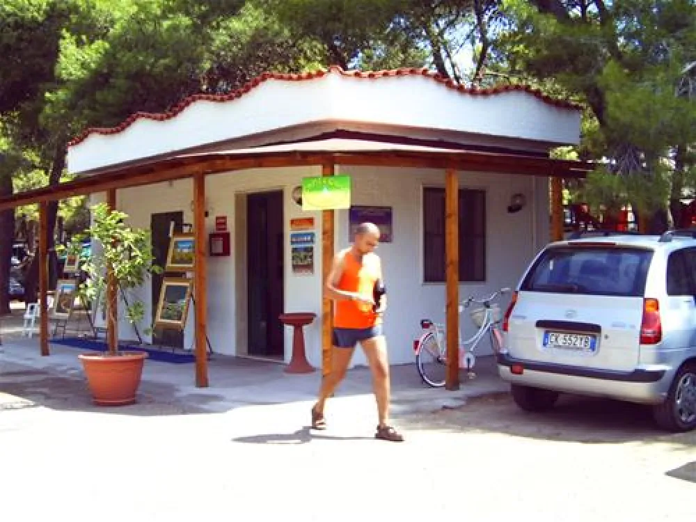 Camppeggio Internazionale