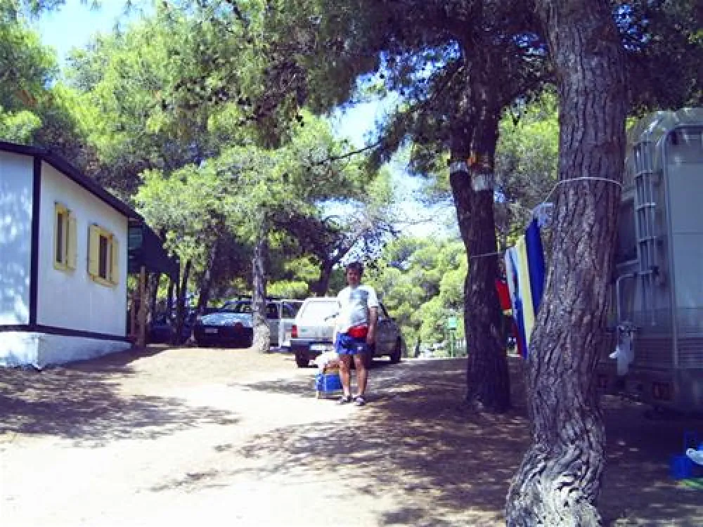 Camppeggio Internazionale