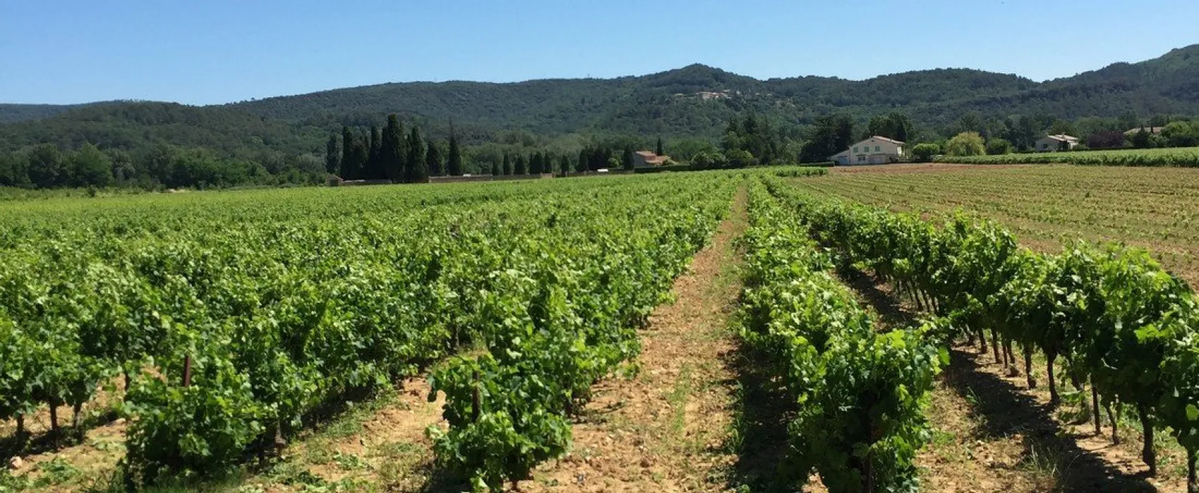 Camping Le Saint Michelet  