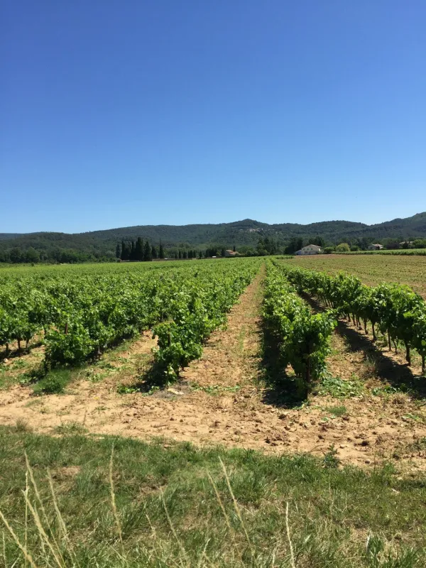 Camping Le Saint Michelet  