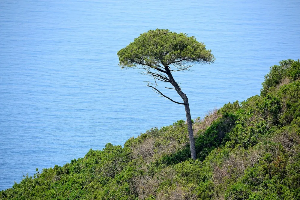 Campeggio Miraflores