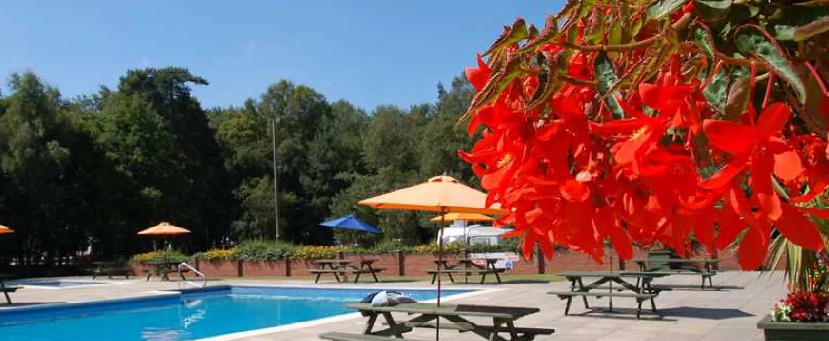 Birchwood Tourist Park