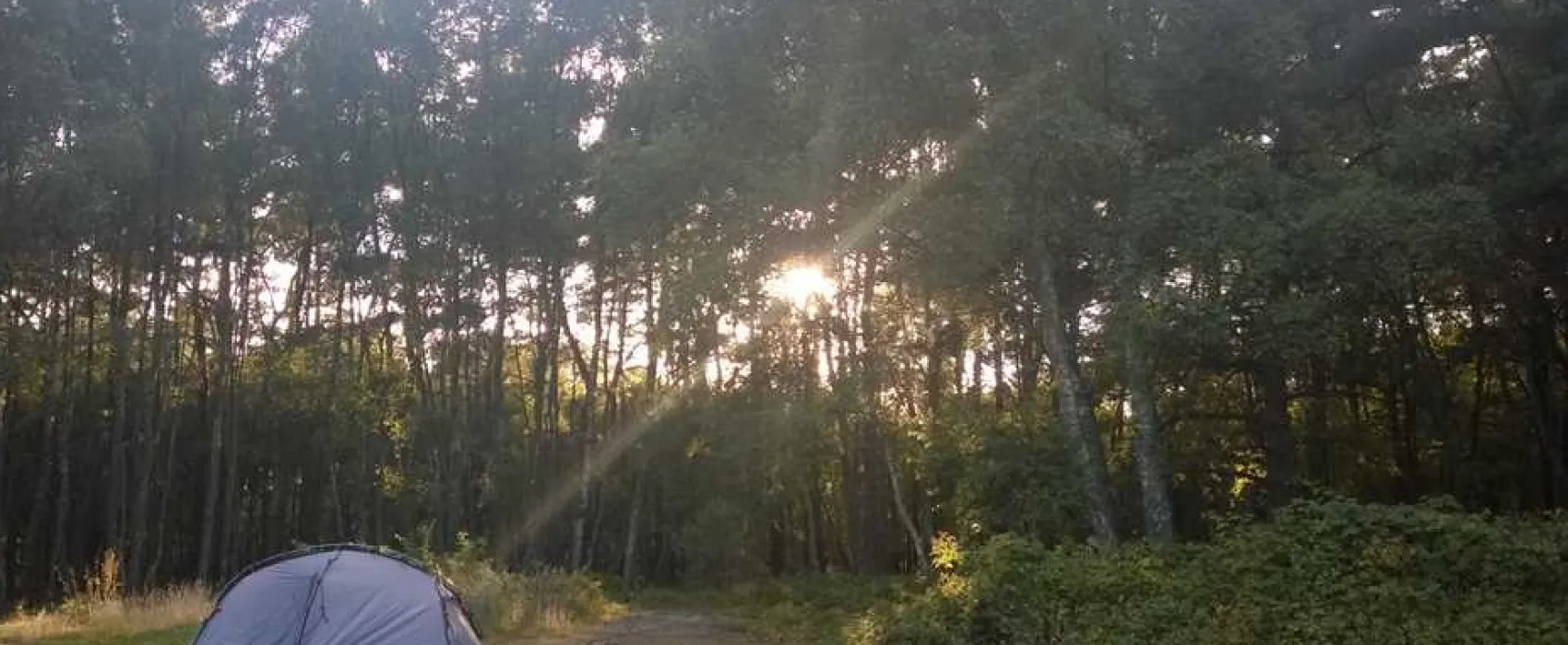 Birchwood Tourist Park