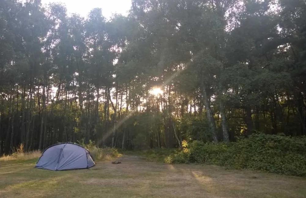 Birchwood Tourist Park