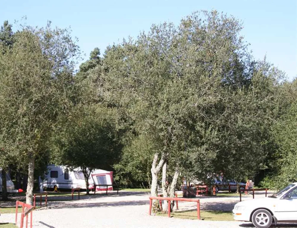 Birchwood Tourist Park