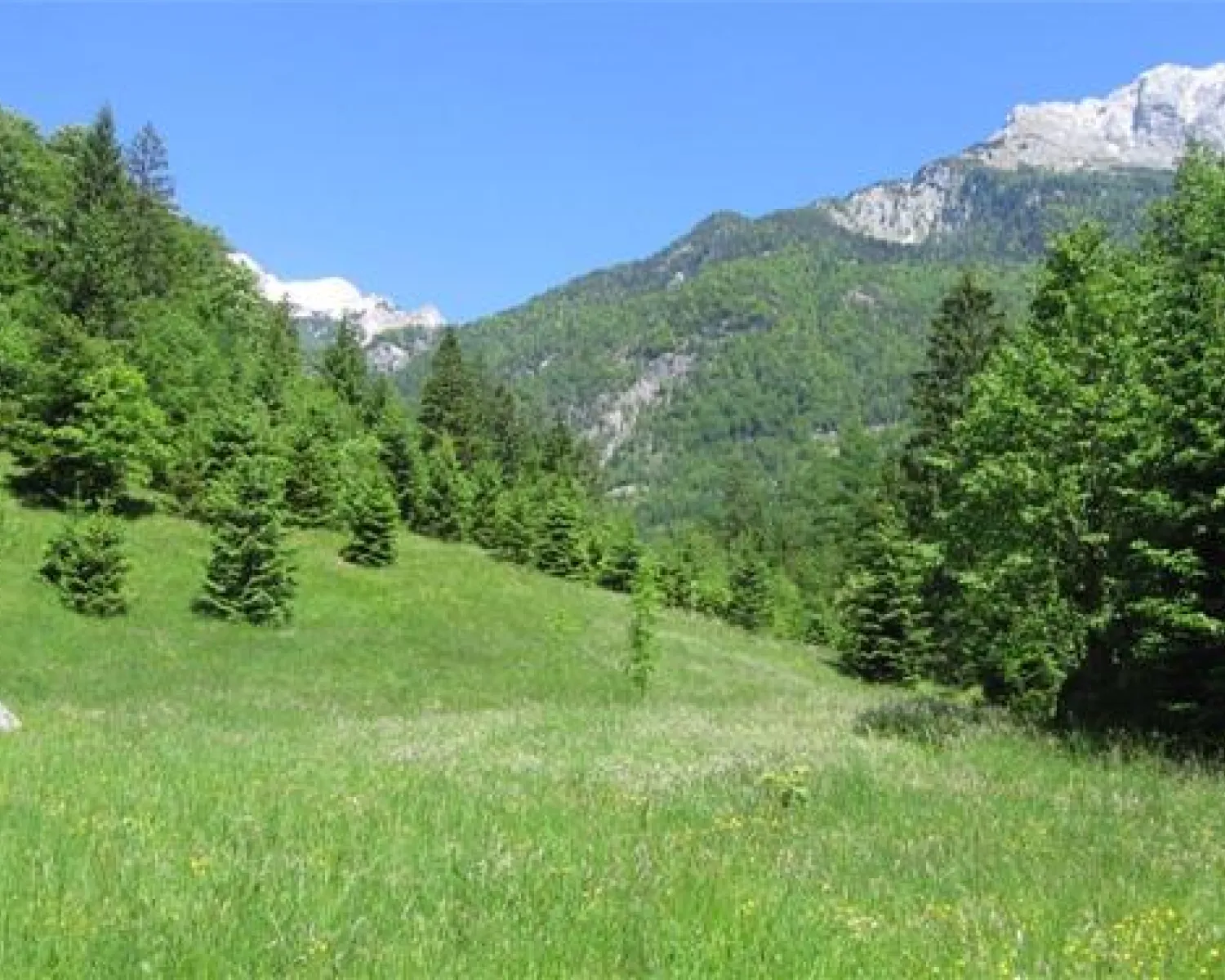 Camping Trenta in Slowenien - Spottocamp - Spottocamp