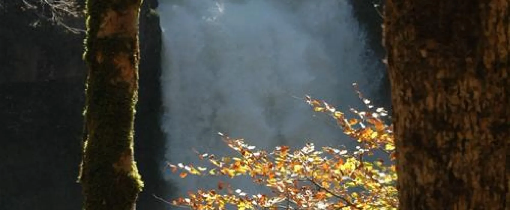 Camping La Belle Verte