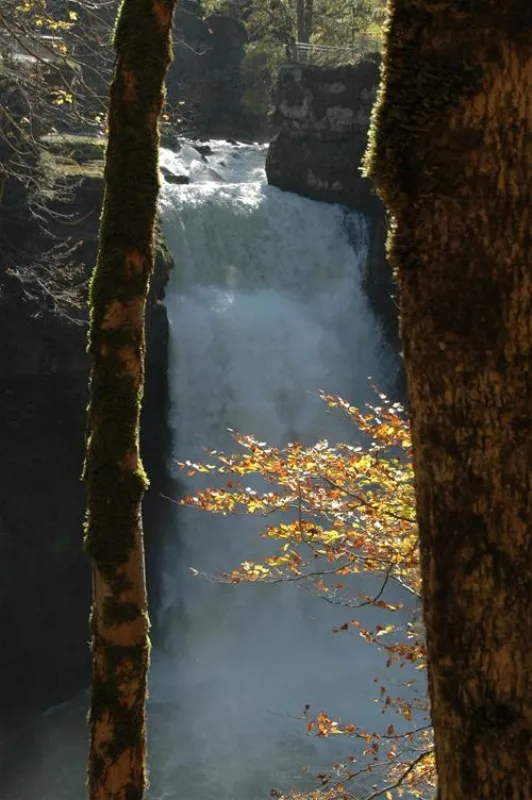 Camping La Belle Verte