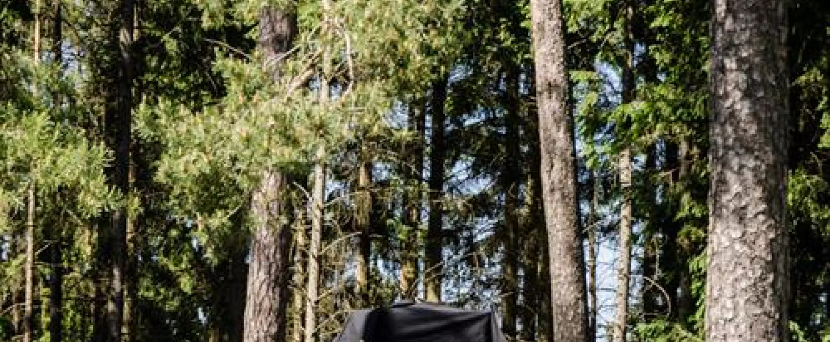 Internationaler Pfadfinderzeltplatz Bucher Berg