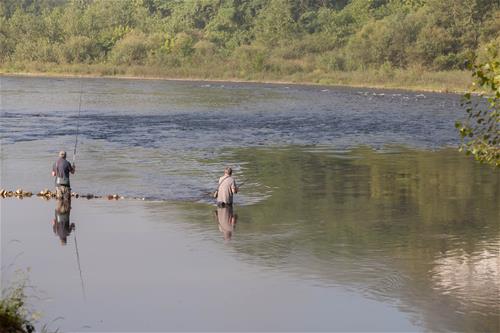Camping La Riviere photo 3