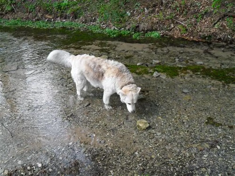 Campingplatz Quellental
