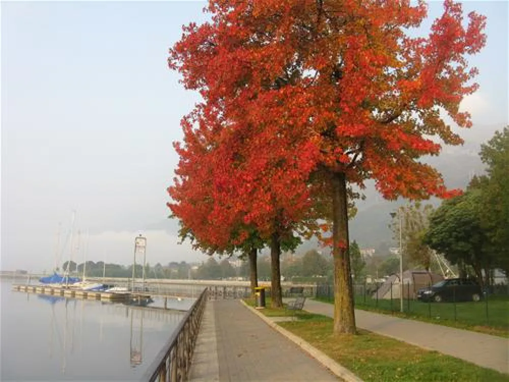 Campeggio Au Lac de Como