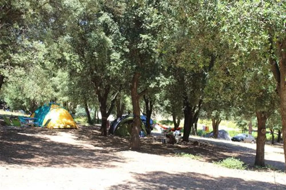 Camping Saint Pancrace