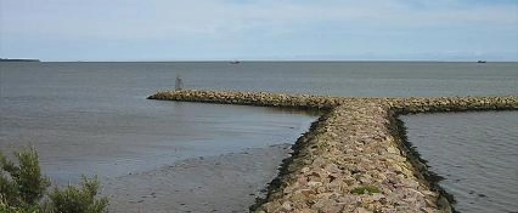 Ferrybank C.& C. Park