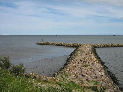 Ferrybank C.& C. Park - Photo 3
