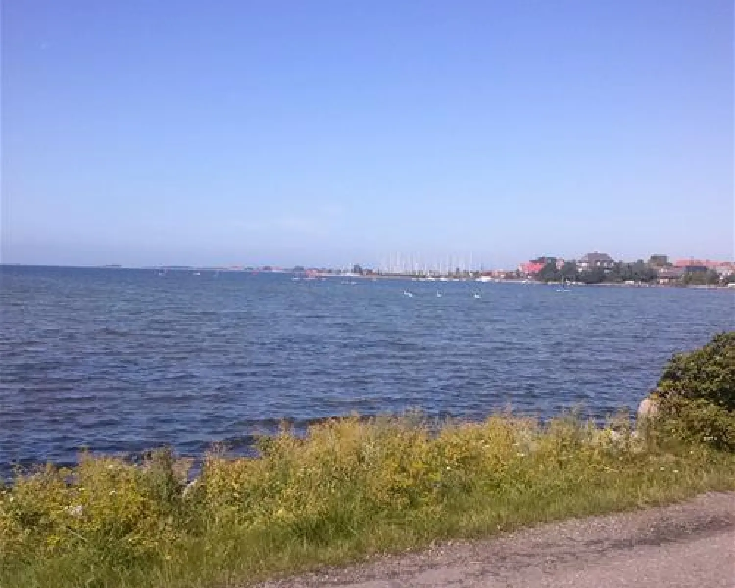 kissen camping Campingkissen 