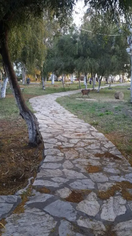 Camping Altinkum Mocamp