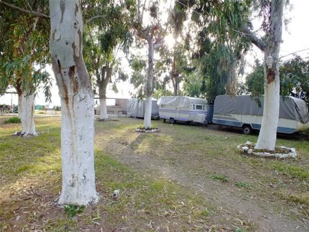 Camping Altinkum Mocamp