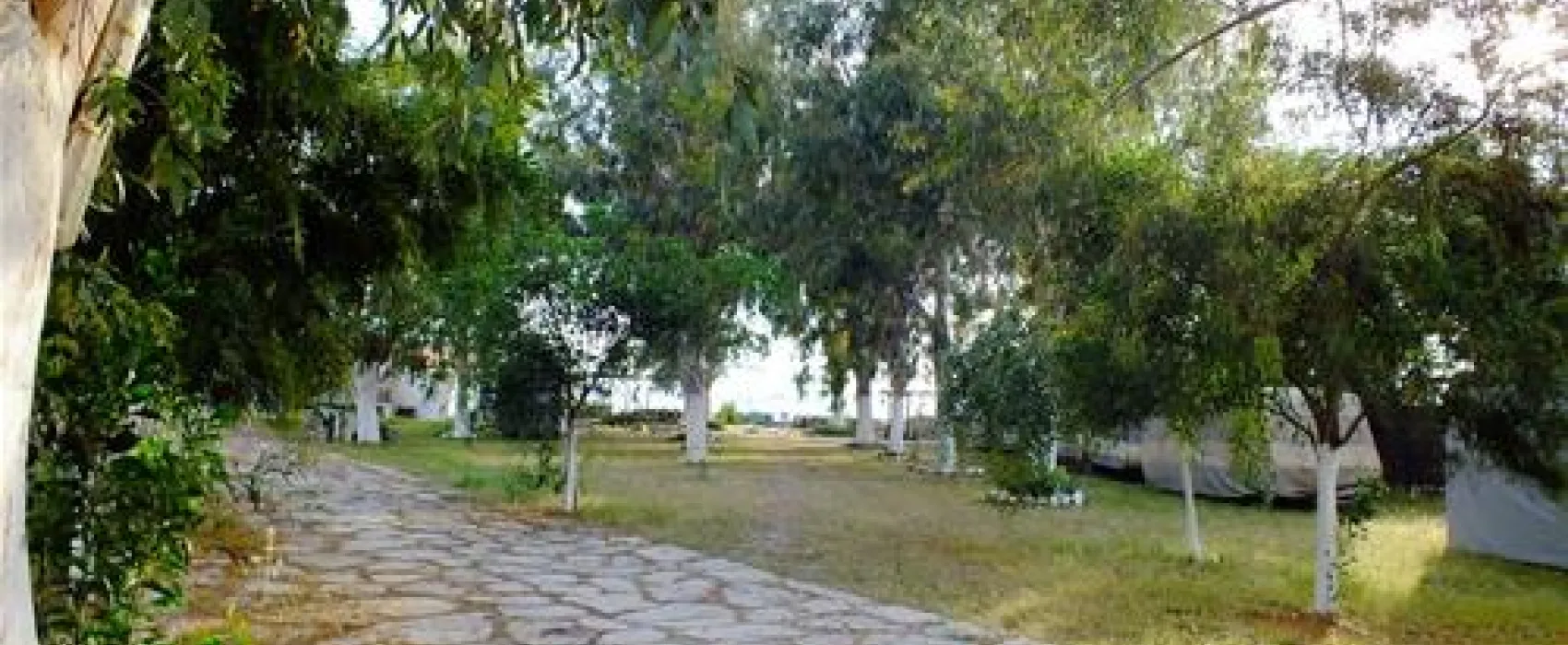 Camping Altinkum Mocamp