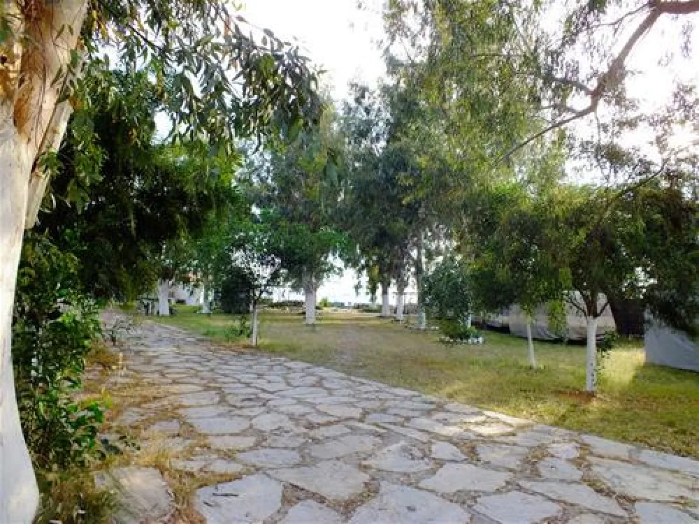 Camping Altinkum Mocamp