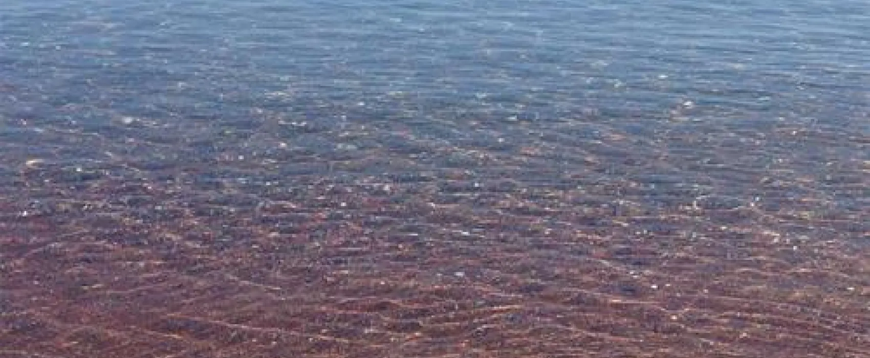 Camping Altinkum Mocamp