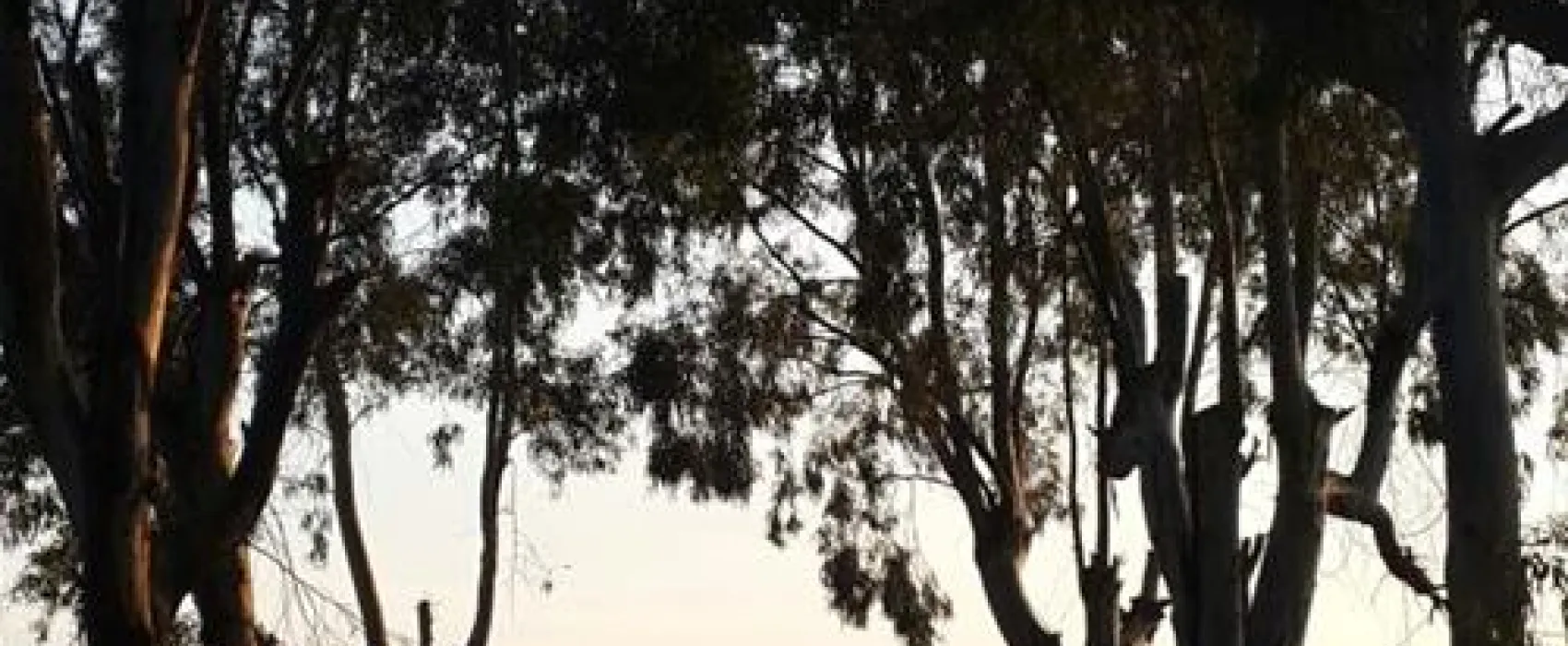 Camping Altinkum Mocamp