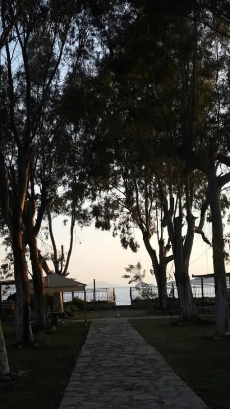 Camping Altinkum Mocamp