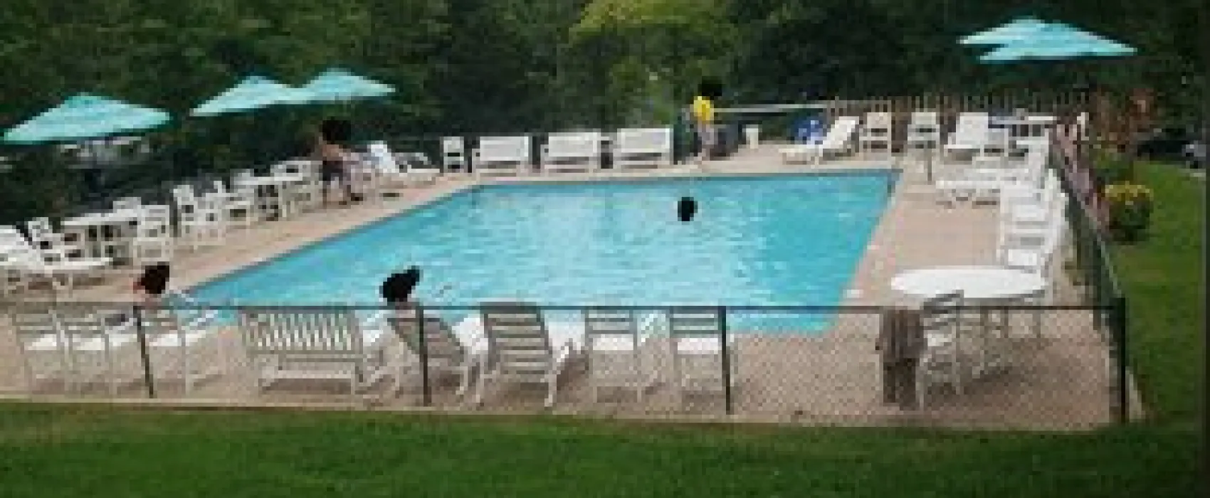 Natural Bridge/Lexington KOA