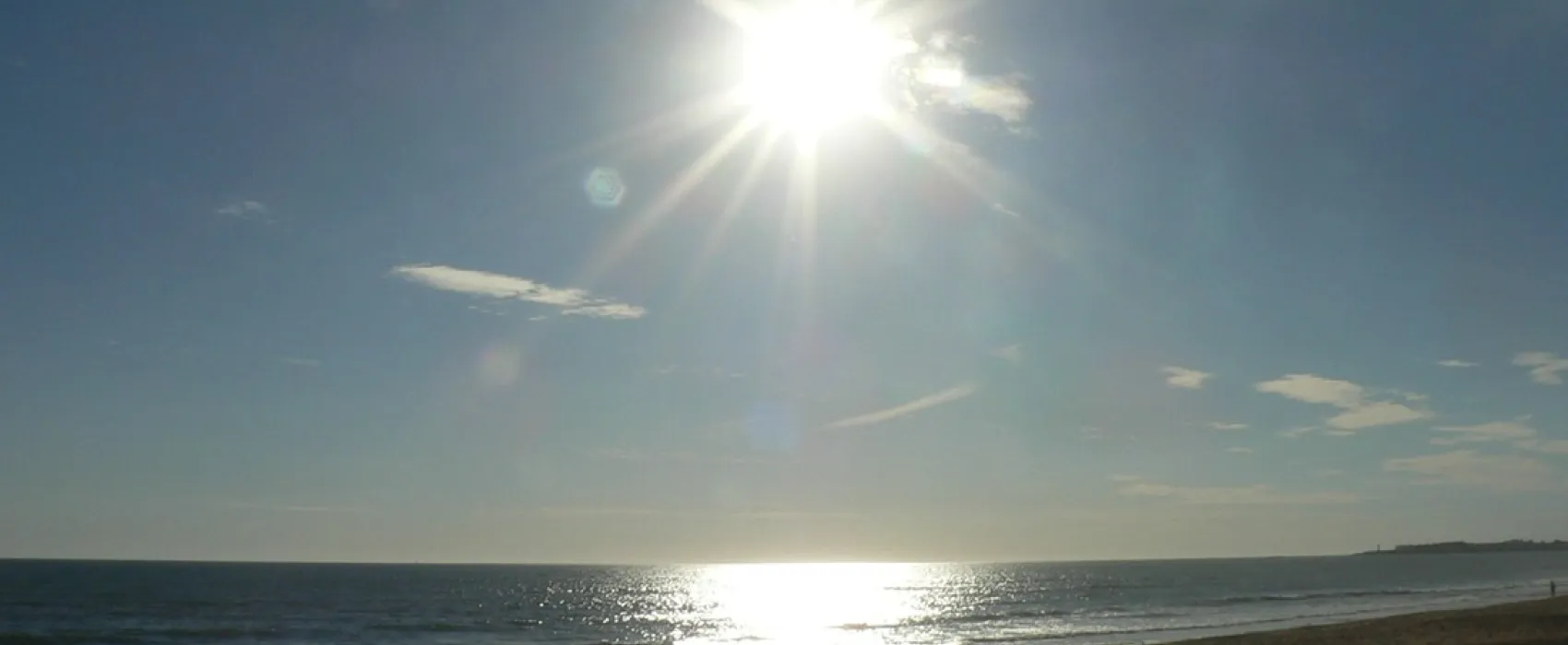 Domaine de la Micheliere