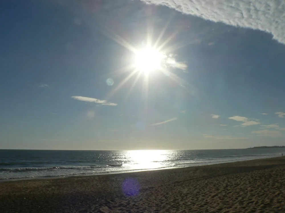 Domaine de la Micheliere