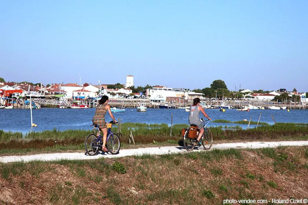 Flower Camping le Merval