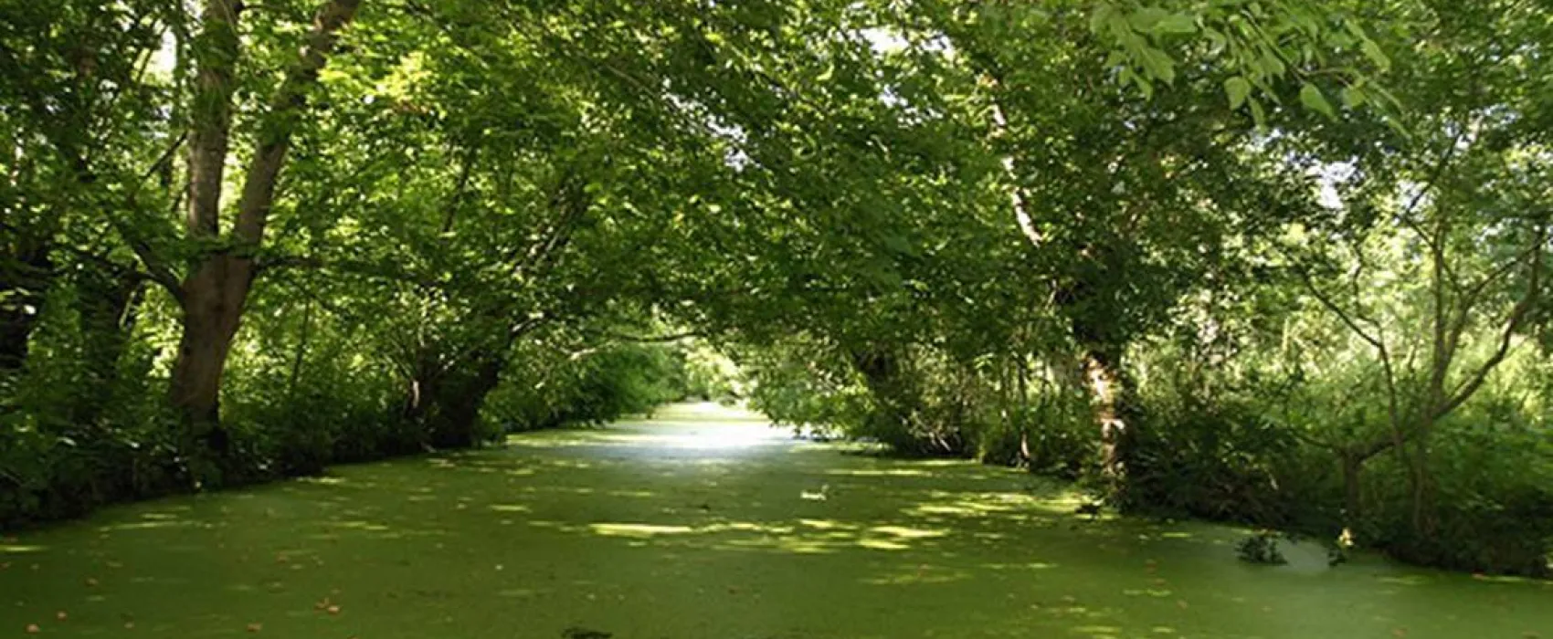 Flower Camping le Merval