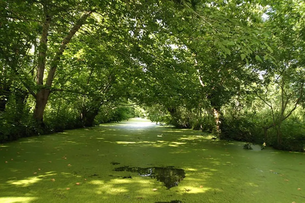 Flower Camping le Merval