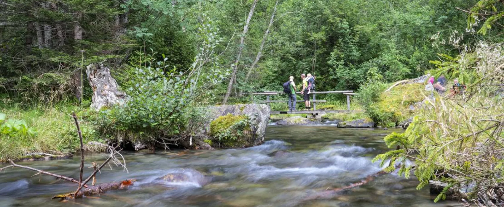 HOCHoben Alpin Camping Mallnitz