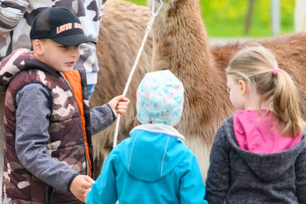 HOCHoben Alpin Camping Mallnitz
