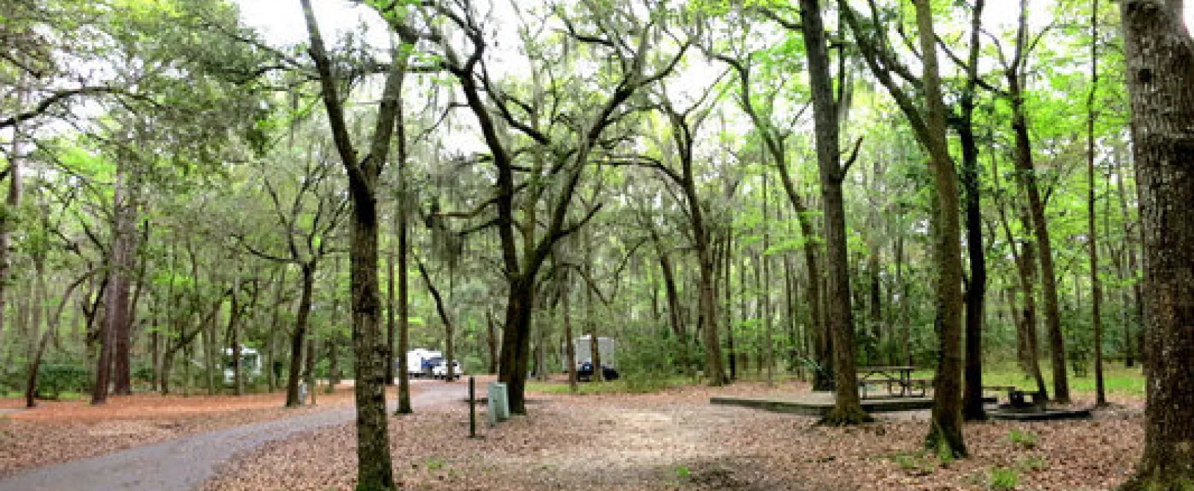 Skidaway Island State Park