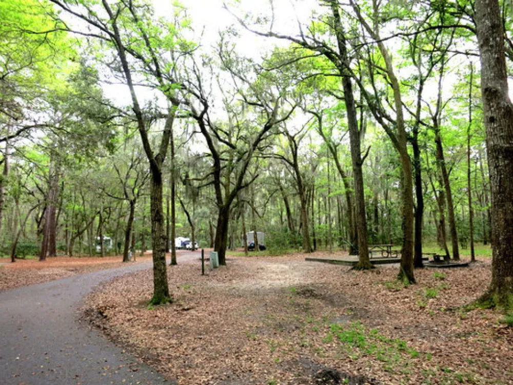 Skidaway Island State Park