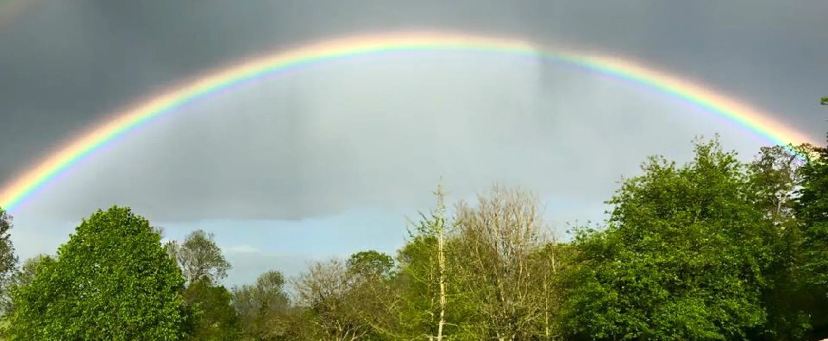 Chateau de Monfreville + cottages
