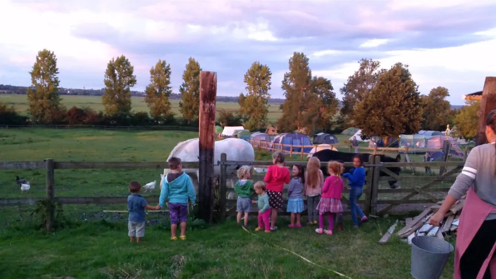 Chateau de Monfreville + cottages