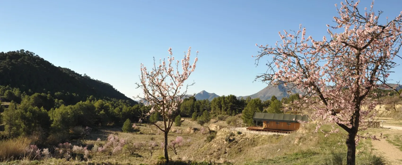 Finca Les Coves (Glamping)