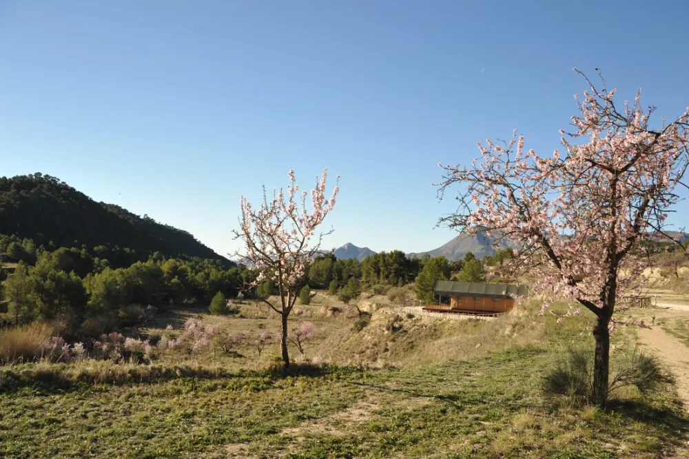 Finca Les Coves (Glamping)
