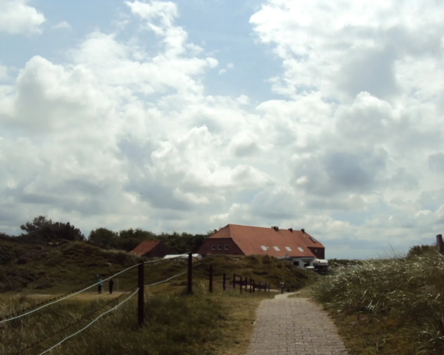 Eiland in Deutschland - Spottocamp - Spottocamp