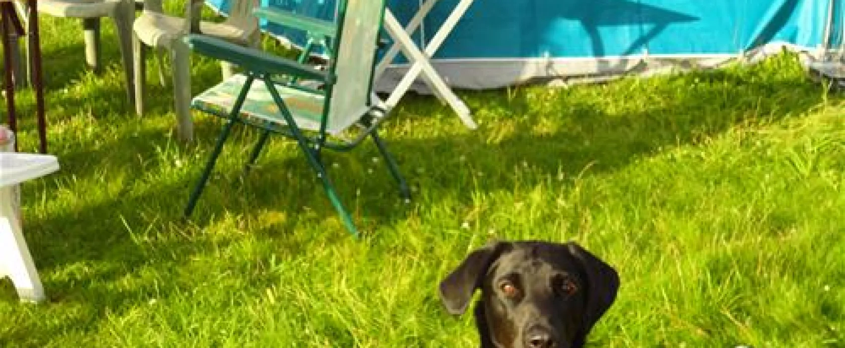 Denfurlong Farm Caravan & Campsite