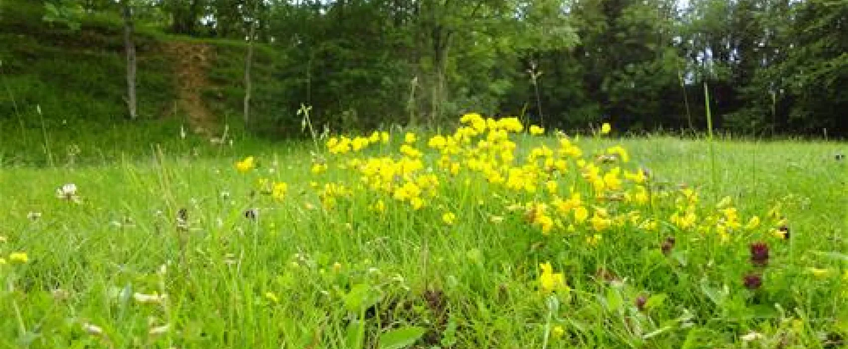 Denfurlong Farm Caravan & Campsite