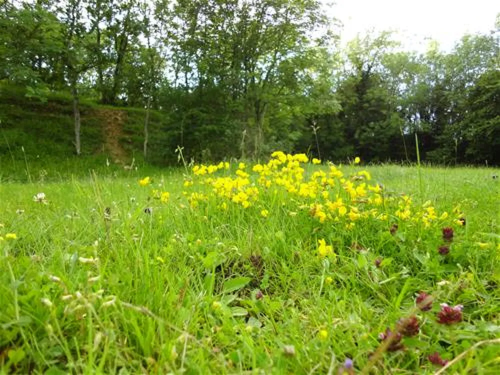 Denfurlong Farm Caravan & Campsite