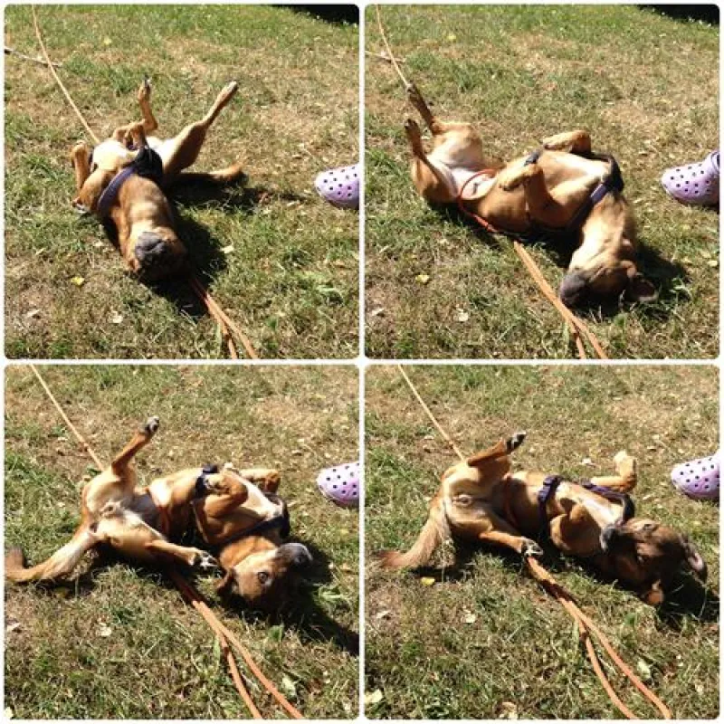 Camping Park Weiherhof