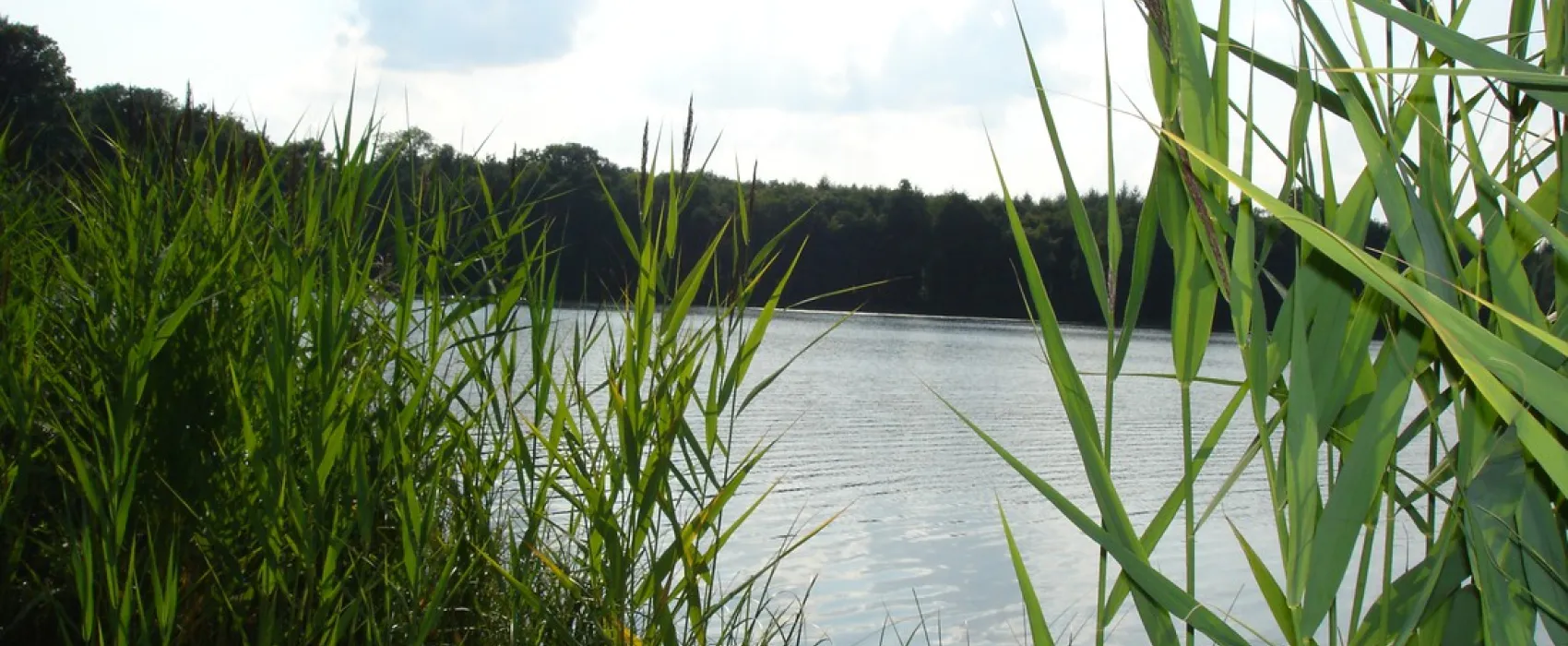 Camping Park Weiherhof